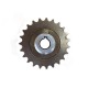 Piñon freewheel 23 T Gran Tour