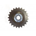 Piñon freewheel 23 T Gran Tour