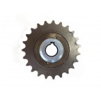 Piñon freewheel 23 T Gran Tour_DESCATALOGADO