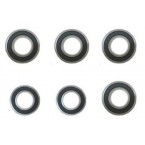 Ball bearing 6004 (4x) + ball bearing 6904 (2x)_rodamientos